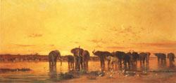 Charles tournemine African Elephants Germany oil painting art